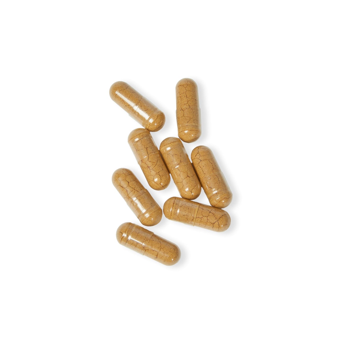 EI Mushroom Blend Supplement | Comprehensive Support | 60 Capsules