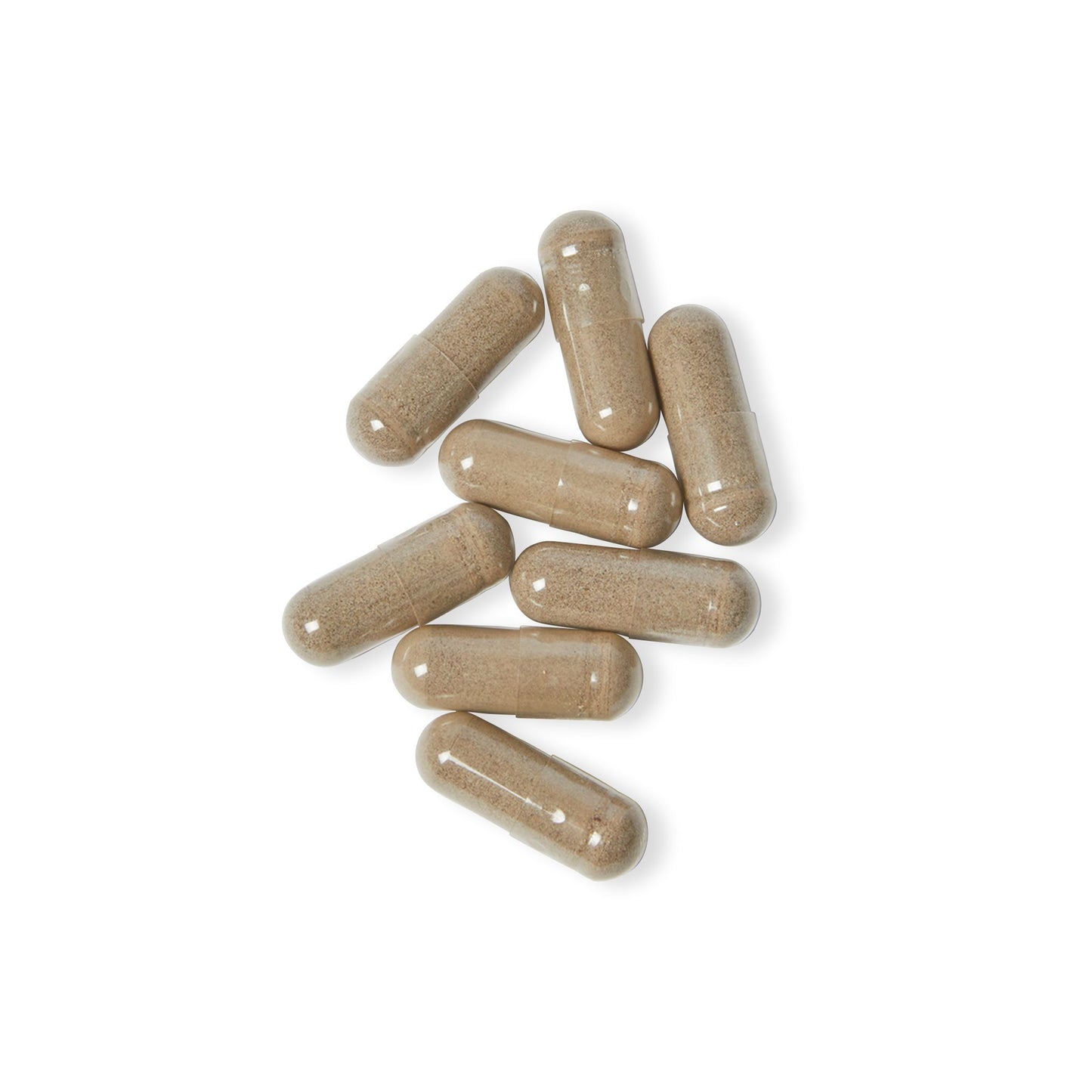 EI Sea Moss Supplement | Whole-Food Mineral Support | 60 Capsules