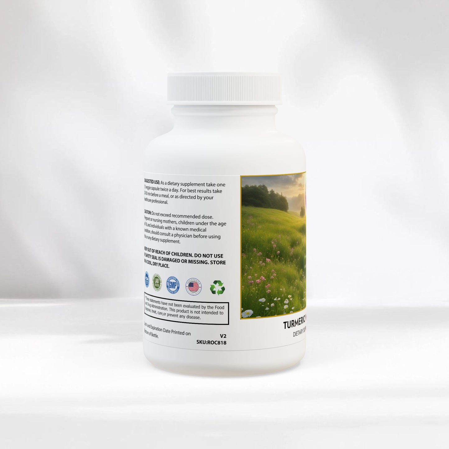 EI Turmeric Supplement | Antioxidant & Recovery Support | 60 Capsules